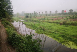 小河沟野钓视频,捕捉自然之美